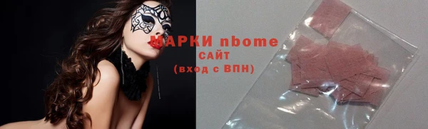 стаф Алзамай