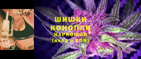 бошки Алексин